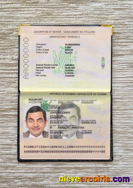 Zambia pass photolook